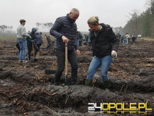 Młodzież posadzi kilka tysięcy drzew. Trwa akcja "Lasy Pełne Energii"