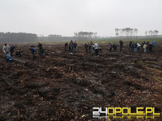 Młodzież posadzi kilka tysięcy drzew. Trwa akcja "Lasy Pełne Energii"