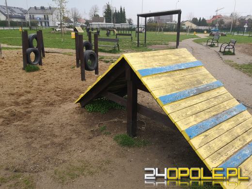 Strefa relaksu i zabaw dla psów powstanie przy ulicy Dambonia