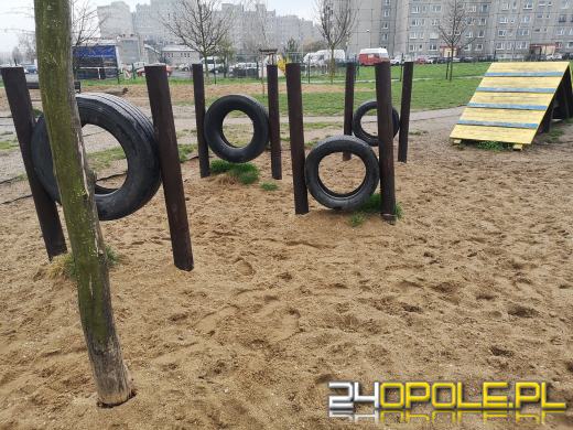 Strefa relaksu i zabaw dla psów powstanie przy ulicy Dambonia