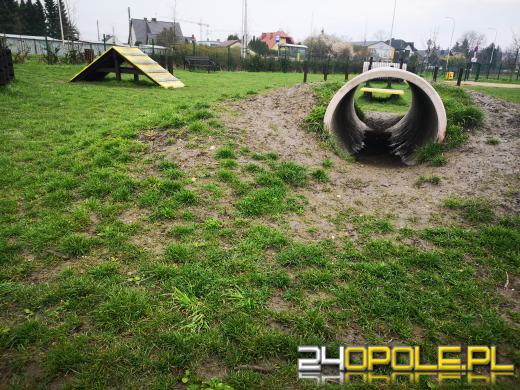 Strefa relaksu i zabaw dla psów powstanie przy ulicy Dambonia