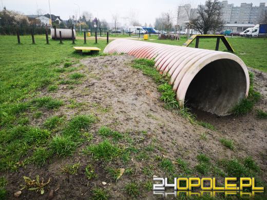 Strefa relaksu i zabaw dla psów powstanie przy ulicy Dambonia
