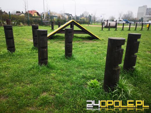 Strefa relaksu i zabaw dla psów powstanie przy ulicy Dambonia