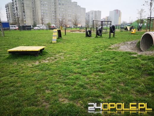 Strefa relaksu i zabaw dla psów powstanie przy ulicy Dambonia