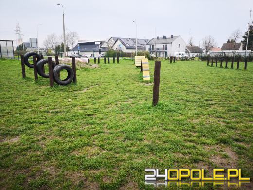 Strefa relaksu i zabaw dla psów powstanie przy ulicy Dambonia