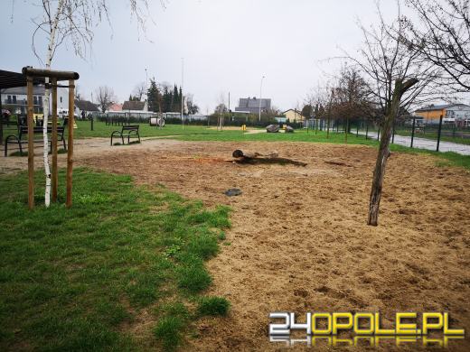 Strefa relaksu i zabaw dla psów powstanie przy ulicy Dambonia