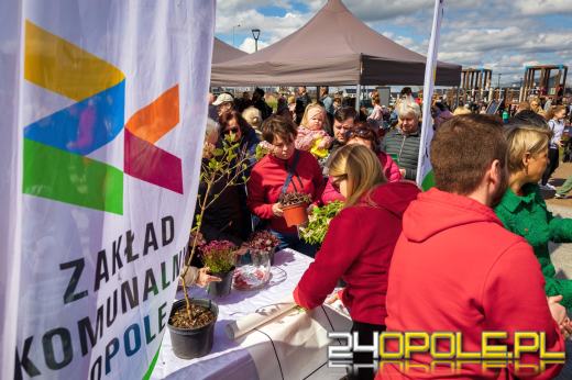 Tężnia solankowa na Malince już działa! Tłumy na otwarciu