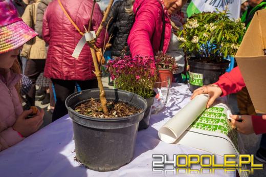 Tężnia solankowa na Malince już działa! Tłumy na otwarciu