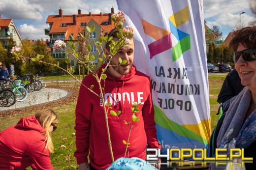 Tężnia solankowa na Malince już działa! Tłumy na otwarciu