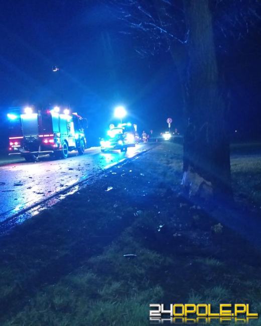 Samochód osobowy wypadł z drogi na DK45