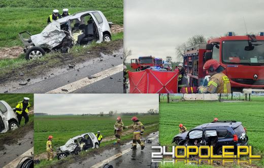 Czołowe zderzenie pojazdów pod Sidziną. 2 osoby zginęły na miejscu