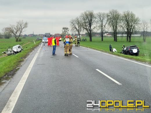 Czołowe zderzenie pojazdów pod Sidziną. 2 osoby zginęły na miejscu