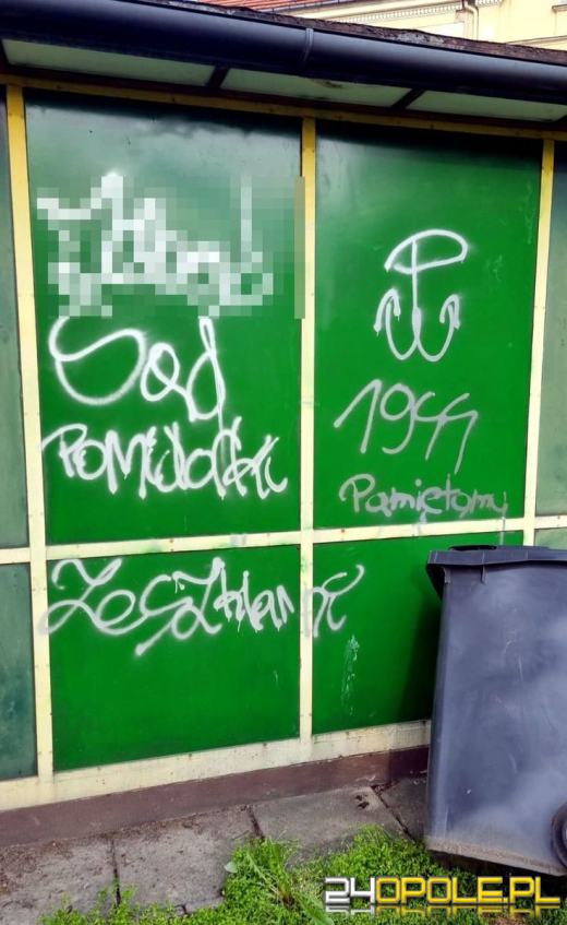 28-letni wandal odpowie przed sądem