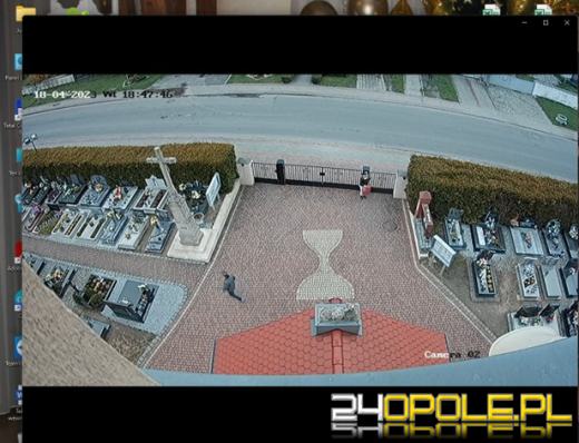 Izbicko: Młoda kobieta kradła cmentarne stroiki