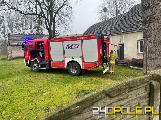 Dwie interwencje w sprawie podpaleń w Czarnowąsach. Złapano podpalacza