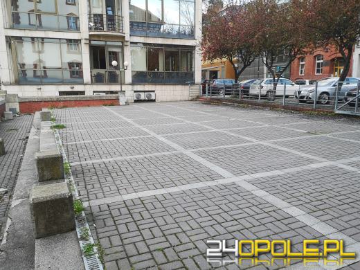 Przez lata był parkingiem Izby Celnej. Będzie zielonym kącikiem dla opolan