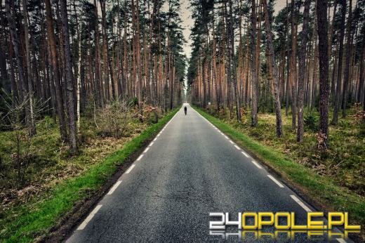 Pojadą rowerem na Hel - charytatywnie dla Kacperka i Alicji