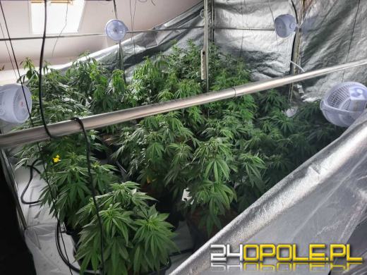 Wytwarzali i sprzedawali narkotyki oraz posiadali nielegalnie amunicję