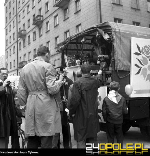 Tak świętowano 1 maja w PRL-u