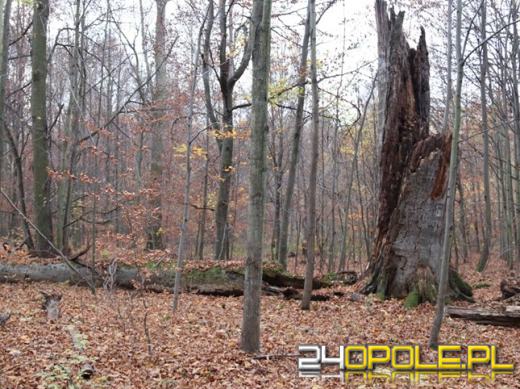 Pod Namysłowem otwarto "Żabę". To nowy rezerwat przyrody