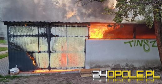 Długi weekend z pożarami śmietników. Strażacy z Kędzierzyna-Koźla interweniowali ponownie