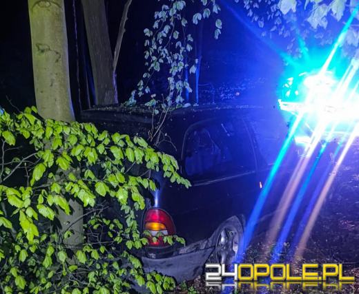 Policja podsumowała majówkę