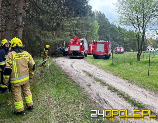 Biestrzynnik. Auto uderzyło w drzewo. Kierowca - senior był pijany