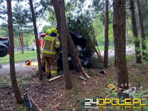 Biestrzynnik. Auto uderzyło w drzewo. Kierowca - senior był pijany