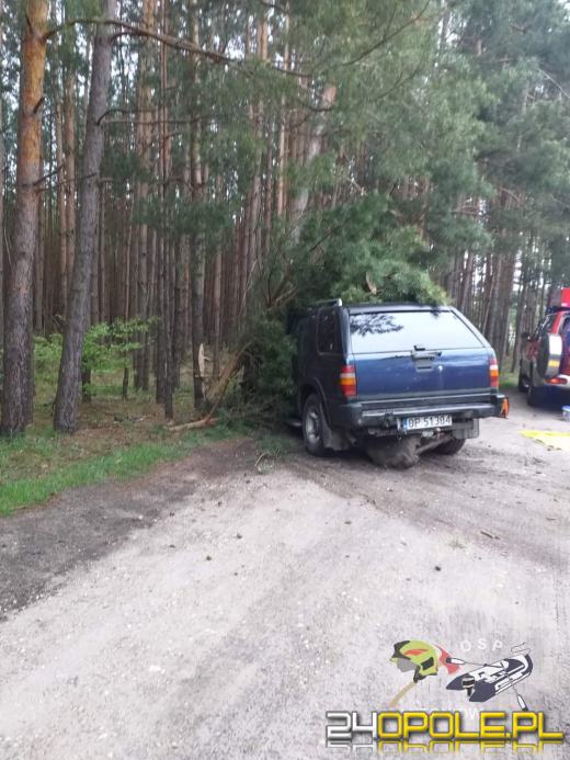 Biestrzynnik. Auto uderzyło w drzewo. Kierowca - senior był pijany