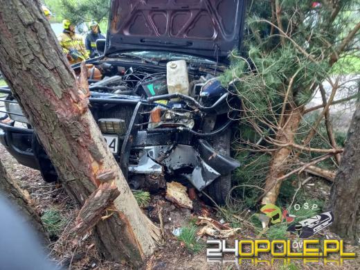Biestrzynnik. Auto uderzyło w drzewo. Kierowca - senior był pijany