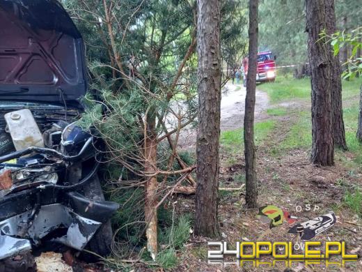 Biestrzynnik. Auto uderzyło w drzewo. Kierowca - senior był pijany