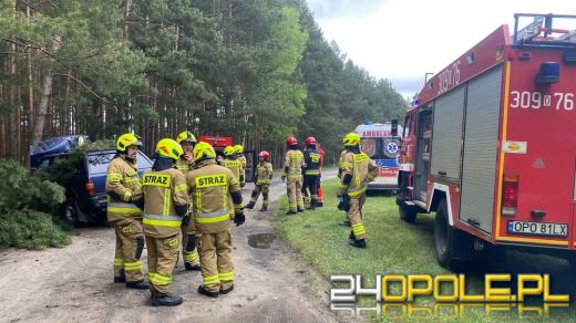 Biestrzynnik. Auto uderzyło w drzewo. Kierowca - senior był pijany