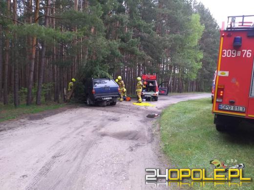 Biestrzynnik. Auto uderzyło w drzewo. Kierowca - senior był pijany