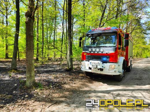 7 zastępów straży pożarnej walczyło z pożarem lasu w Smolarniku