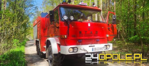 7 zastępów straży pożarnej walczyło z pożarem lasu w Smolarniku