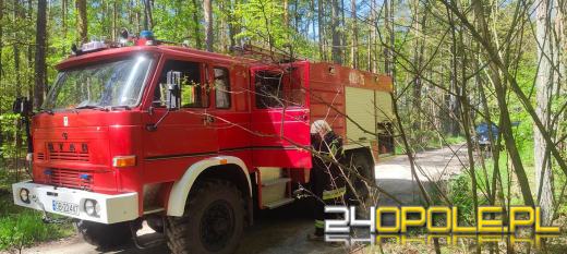 7 zastępów straży pożarnej walczyło z pożarem lasu w Smolarniku