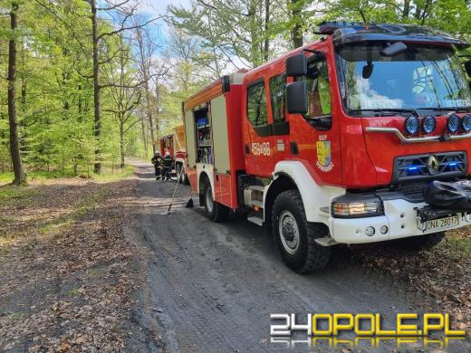 Zerwana linia wysokiego napięcia przyczyną pożaru lasu