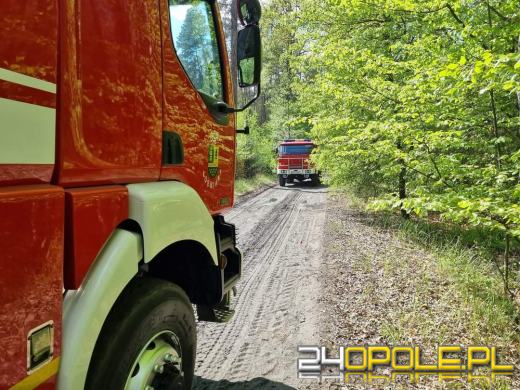 Zerwana linia wysokiego napięcia przyczyną pożaru lasu