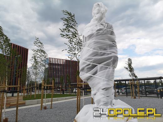 Wszyscy chcą "odsłonić" pomnik Pileckiego. Kto pociągnie "za sznurki"?