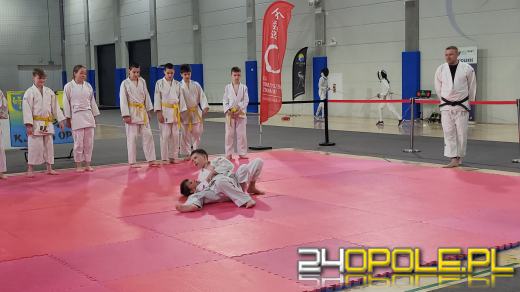 W Toyota Park trwa Dzień Sportu