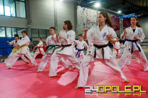 W Toyota Park trwa Dzień Sportu