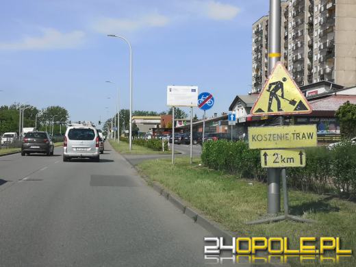 Wielkie koszenie w Opolu. Skutki koszenia wszystkiego zobaczymy za chwilę