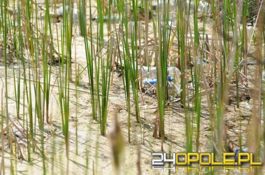 Kamionka Piast mocno zaśmiecona. Czytelnicy zgłaszają też śnięte ryby