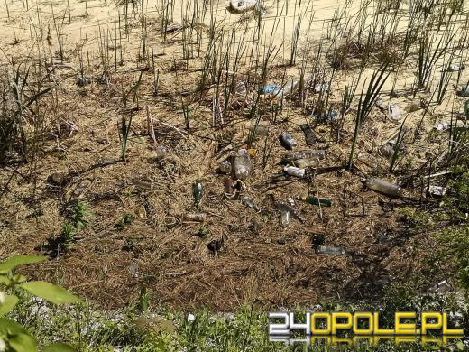 Kamionka Piast mocno zaśmiecona. Czytelnicy zgłaszają też śnięte ryby