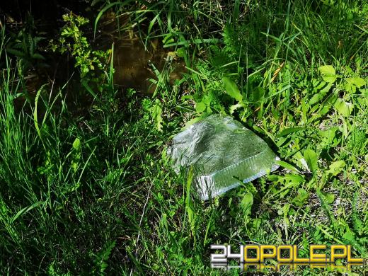 Kamionka Piast mocno zaśmiecona. Czytelnicy zgłaszają też śnięte ryby