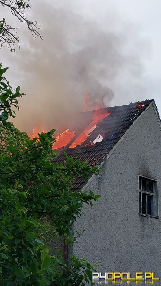 Pożar pustostanu w gminie Ozimek. W akcji sześć zastępów straży