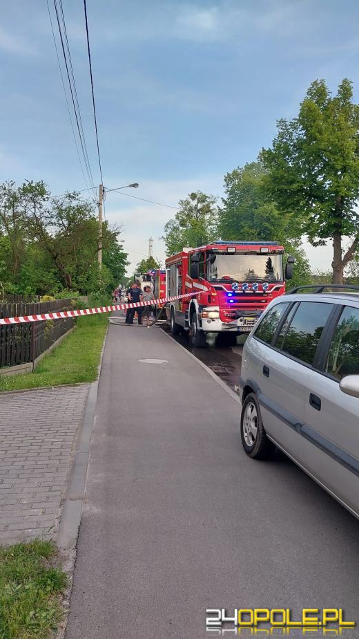 Pożar pustostanu w gminie Ozimek. W akcji sześć zastępów straży