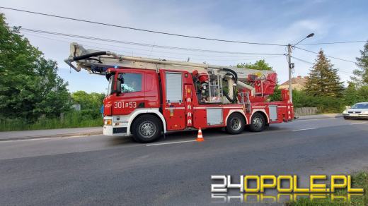 Pożar pustostanu w gminie Ozimek. W akcji sześć zastępów straży