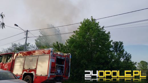 Pożar pustostanu w gminie Ozimek. W akcji sześć zastępów straży