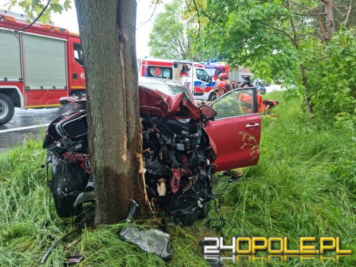DK94: 66-latek kierujący osobówką uderzył w drzewo
